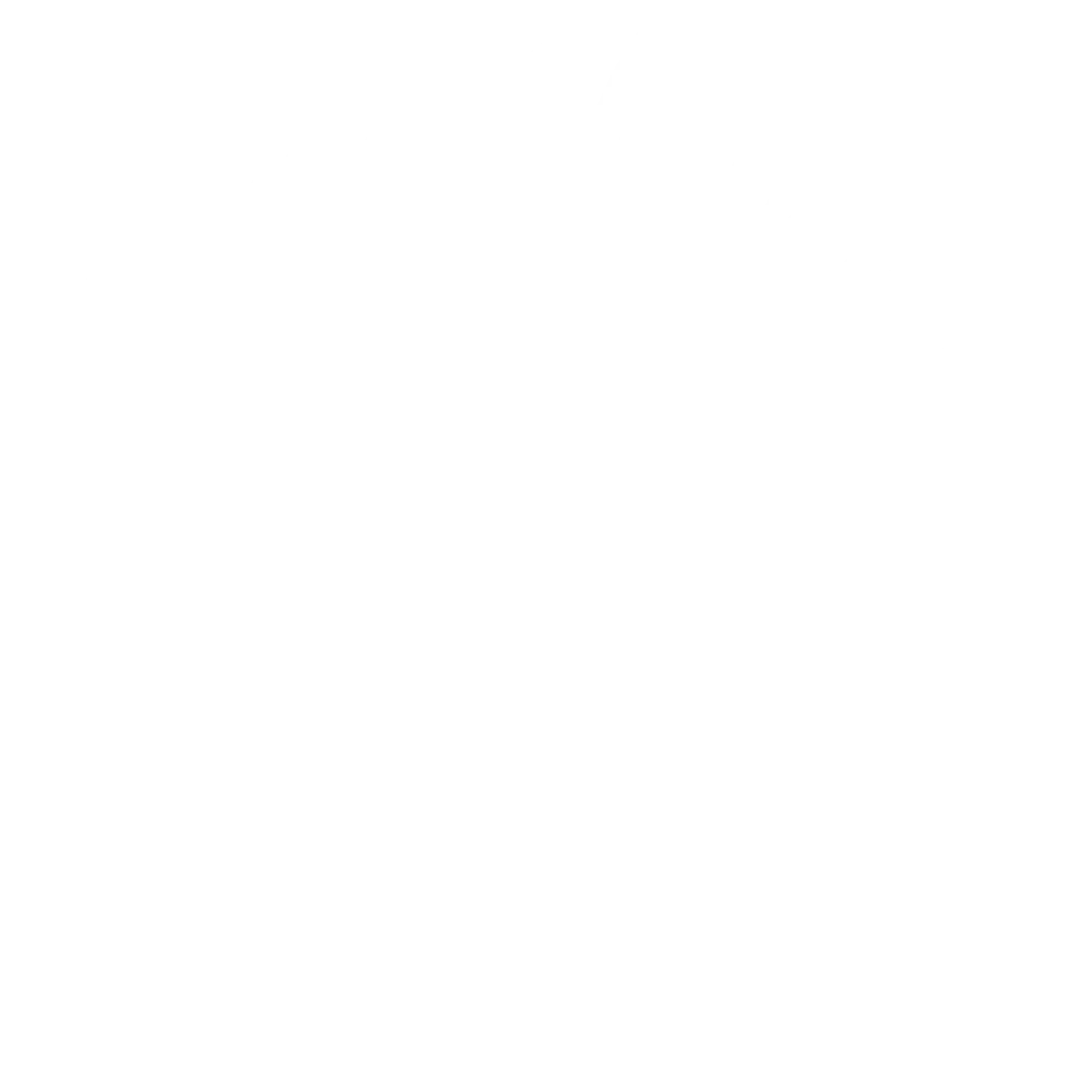 Santini Veronica